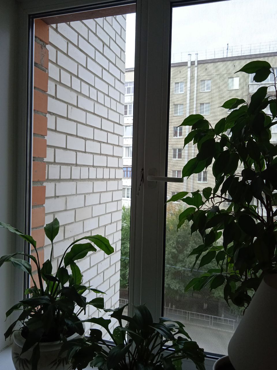 https://tver.delaem-okna.ru/storage/app/uploads/public/63f/332/8c0/63f3328c0408d690824237.jpg