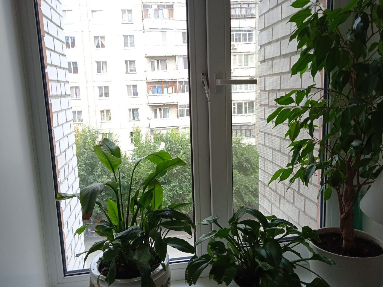https://tver.delaem-okna.ru/storage/app/uploads/public/63f/332/8c0/63f3328c0d6f7867060515.jpg